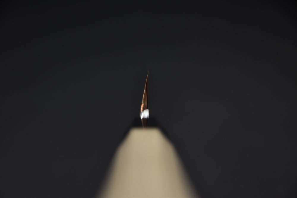 Hitohira Kikuchiyo Manzo Aogami #2 Yanagiba 300mm Ho (Thinner)