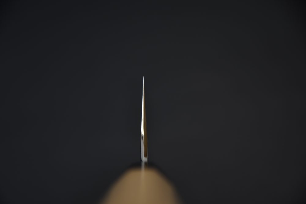 Hitohira Togashi Aogami #2 Kurouchi Kiritsuke Gyuto 210mm Cherry