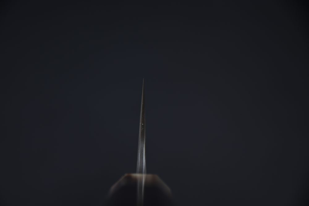 Nigara Hamono Aogami #2 Damascus 210mm Gyuto Ébène #2