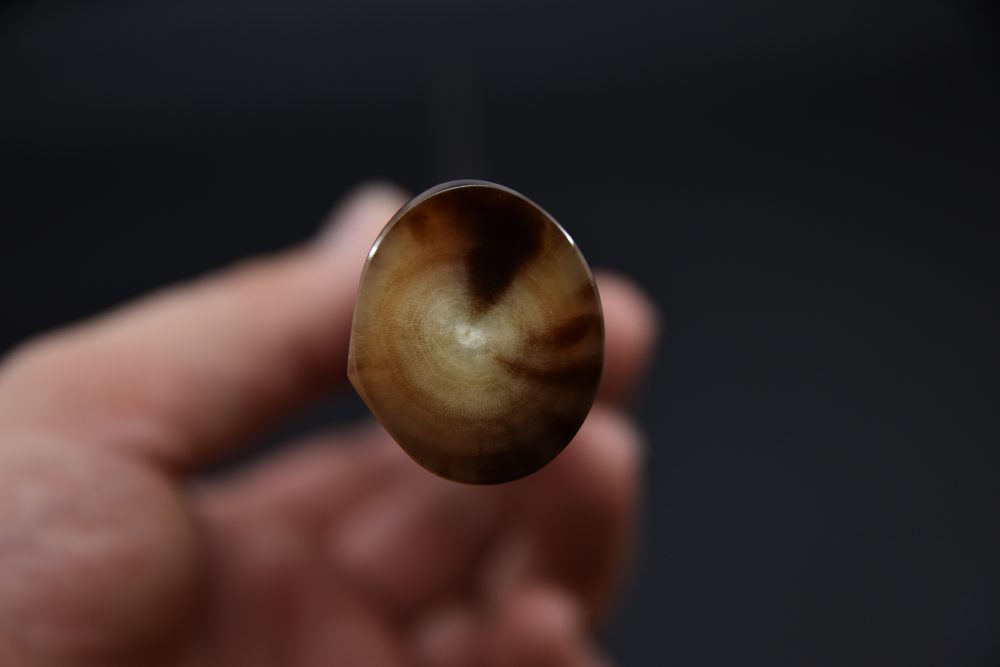 Shoichi Hashimoto Black Damascus Coreless Gyuto 240mm Snakewood