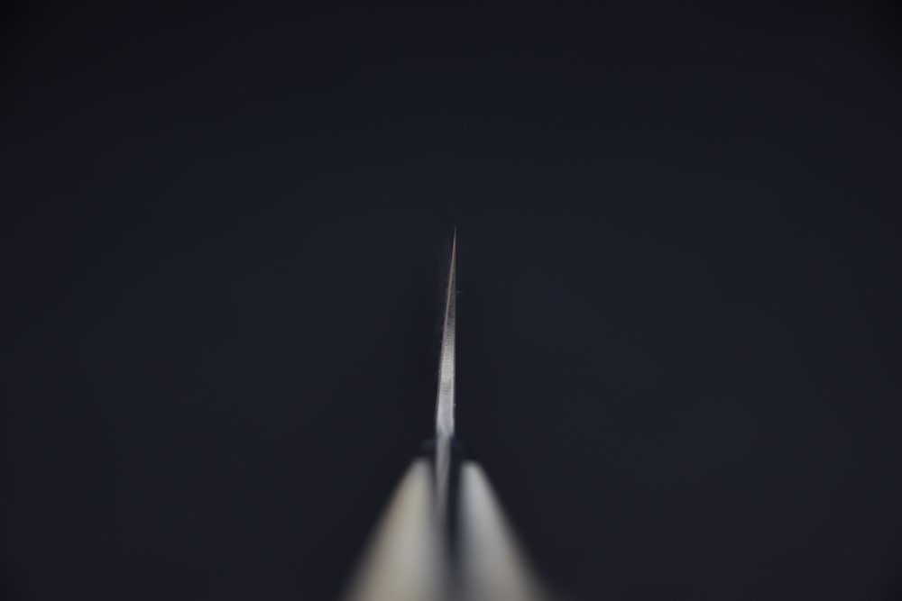 Takeshi Saji R2 Damascus Gyuto 210mm Corne De Cerf