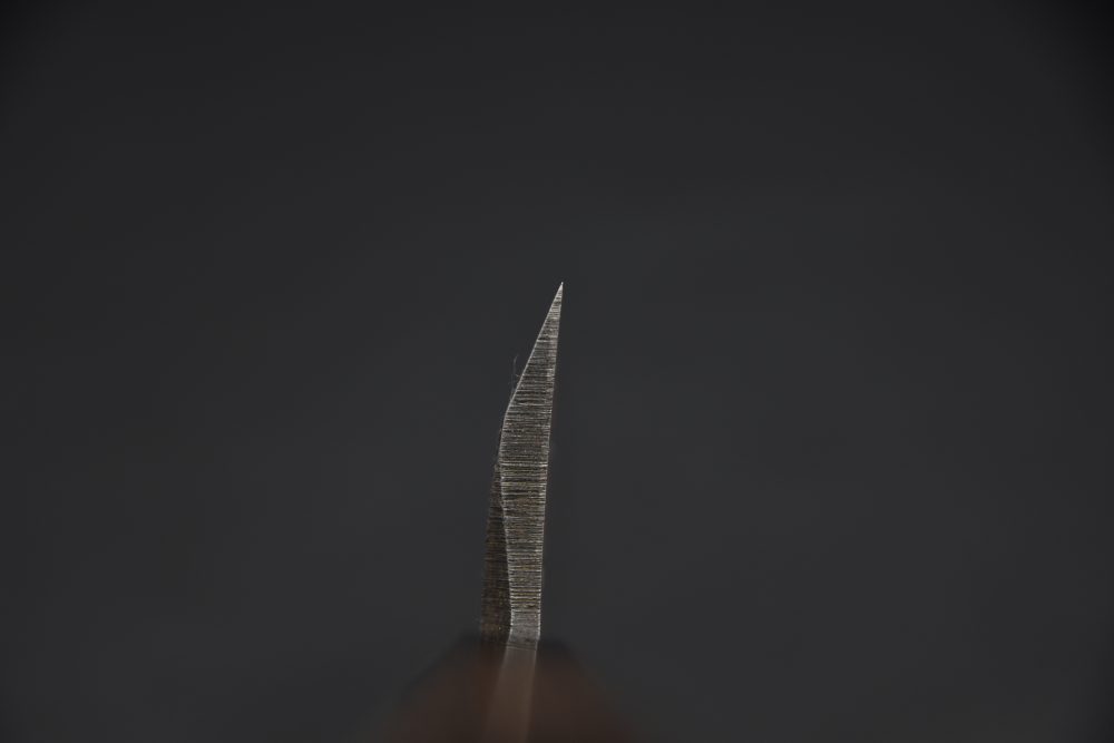 Hatsukokoro Shirasagi Kurouchi Aogami #2 Tsuchime Deba 180mm Wenge