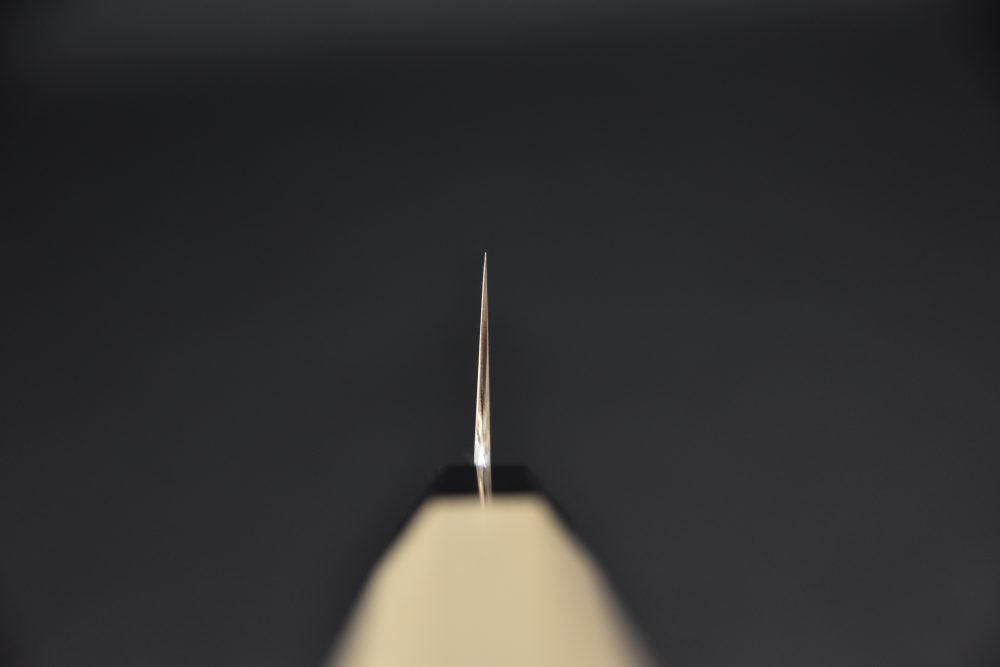 Takada no Hamono Aogami #1 Suiboku Sujihiki 300mm Ho