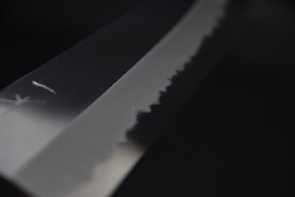 Hitohira Tanaka Kyuzo Aogami #1 Migaki Kiritsuke Gyuto 240mm Taihei Ébène (Extra Height)