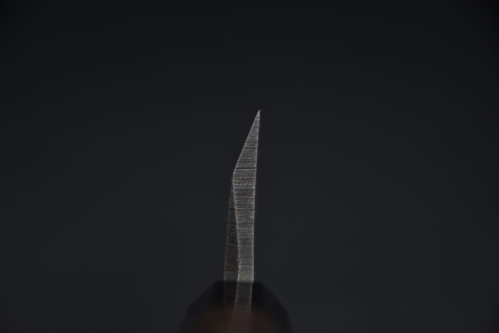 Hatsukokoro Shirasagi Kurouchi Aogami #2 Tsuchime Deba 165mm Wenge