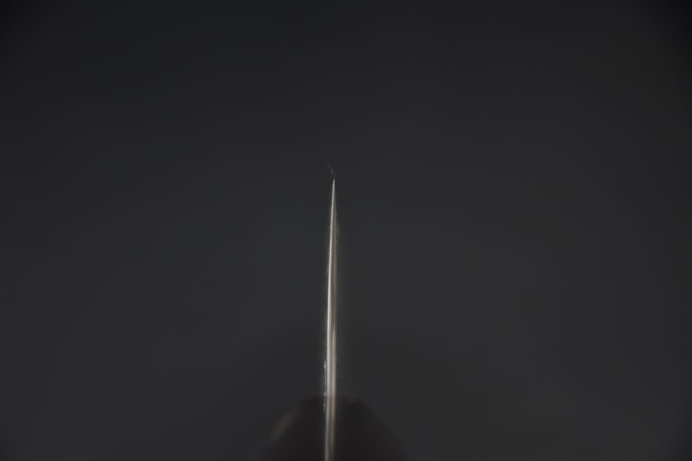 Nigara Hamono SG2 Anmon Damascus Gyuto 270mm Ébène