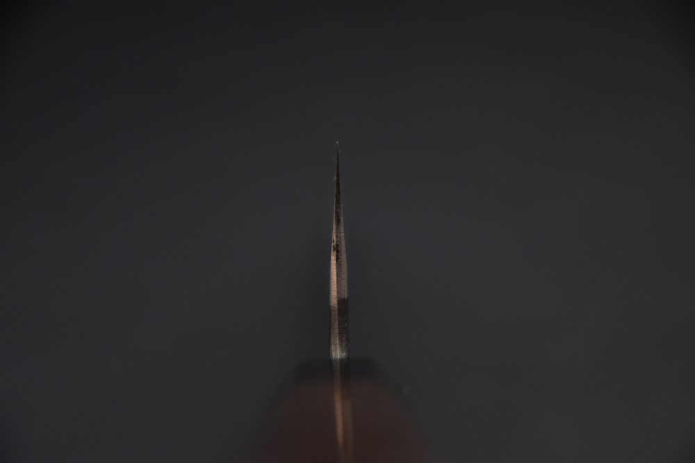 Hatsukokoro Aogami Super Kurosagi Kiritsuke Gyuto 210mm Tagayasan