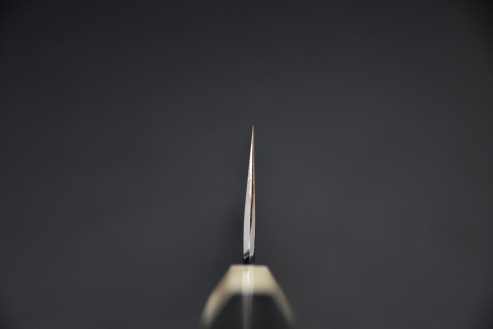 Hitohira Togashi Aogami #1 Stainless Clad Gyuto 210mm Ébène de Makassar