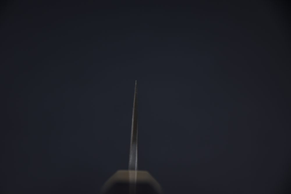 Nigara Hamono Aogami #2 Damascus 210mm Gyuto Ébène #1