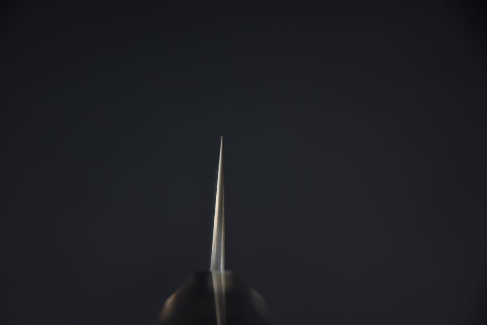 Nigara Hamono Aogami #2 Damascus 240mm Gyuto Ébène #5