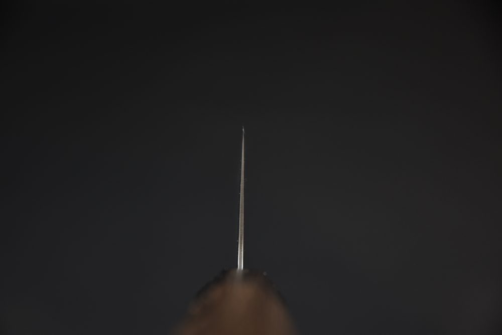 Hitohira Futana Nickel Damascus Kiritsuke Gyuto 210mm Tagayasan