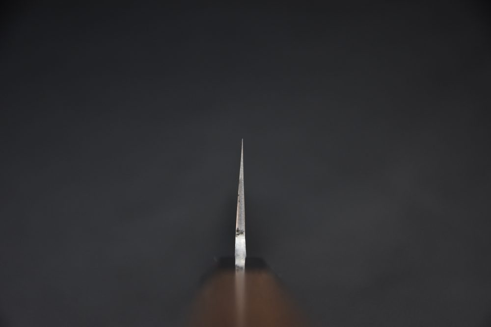 Tanaka Shigeki Aogami #2 Stainless Clad Santoku 180mm Tagayasan