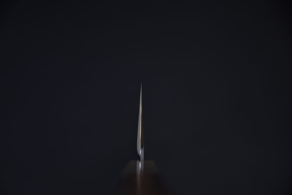 Hitohira Togashi Shirogami #1 Stainless Clad Gyuto 210mm Ziricote