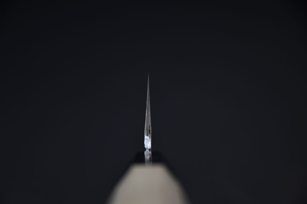 Hitohira Kikuchiyo Ren Aogami #2 Gyuto 210mm Ho