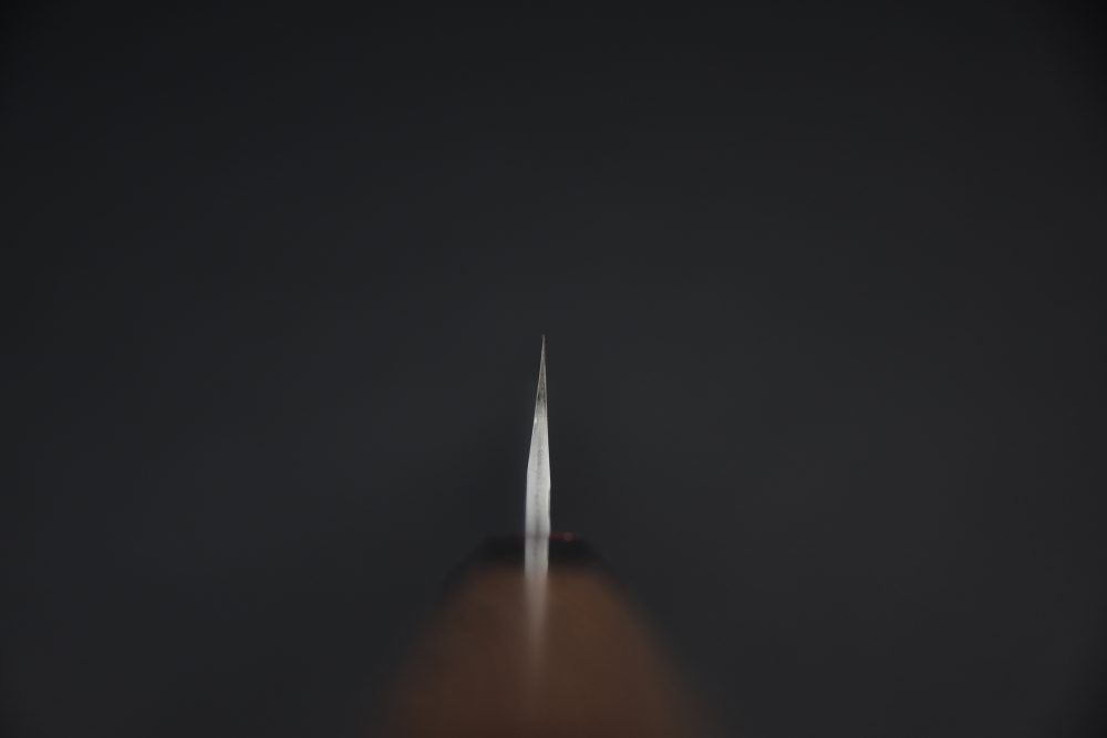 Nigara Hamono Aogami Super Migaki Tsuchime Sujihiki 240mm Tagayasan