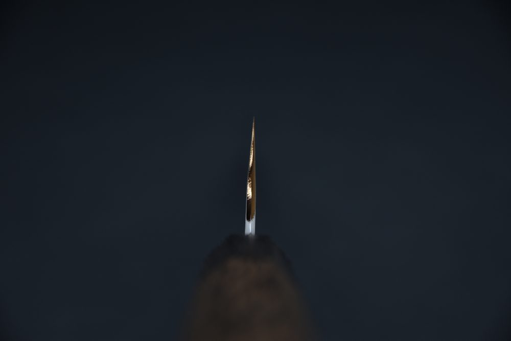 Hitohira Kikuchiyo Rikichi Silver #3 Migaki Gyuto 210mm Tagayasan