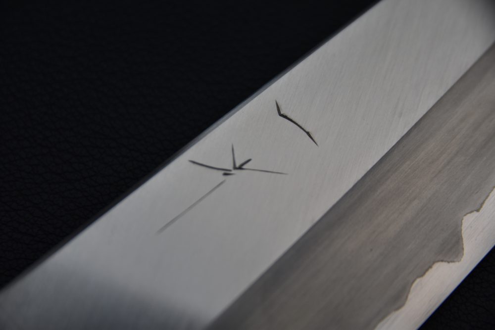 Hitohira Togashi Shirogami #1 Stainless Clad Gyuto 210mm Ziricote