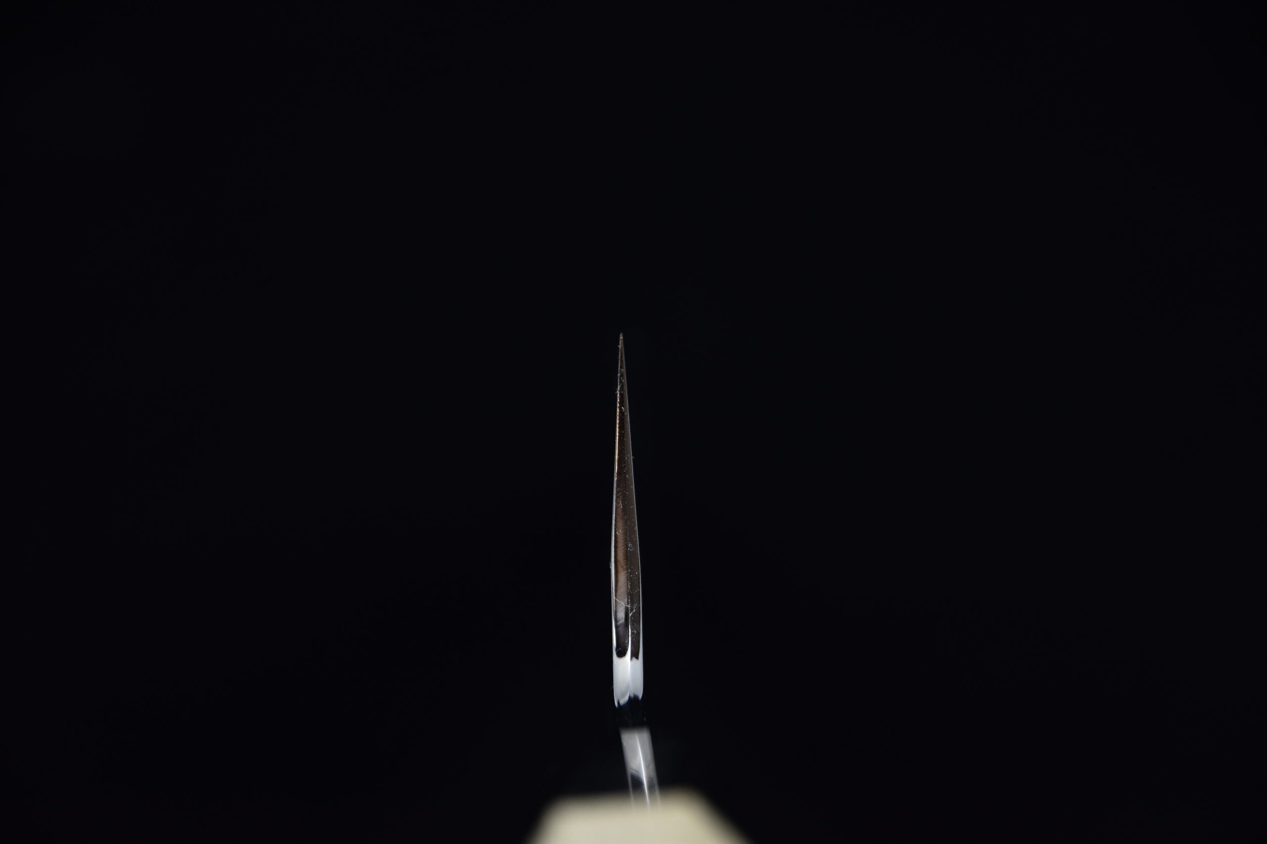 Hitohira Togashi Shirogami #1 Stainless Clad Gyuto 240mm Bois de Ho