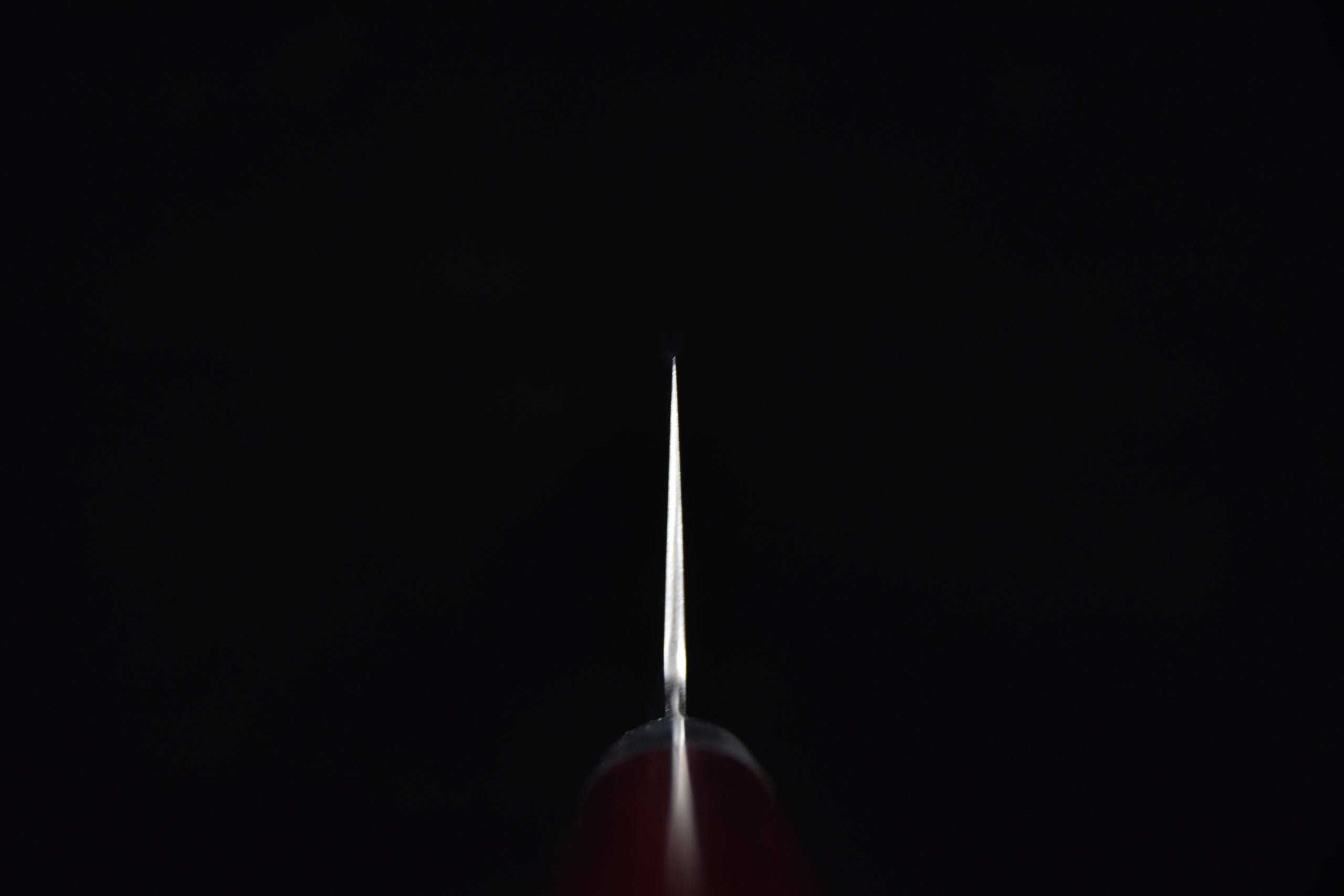 Hitohira TP Gyuto 210mm Bois de Pakka Rouge