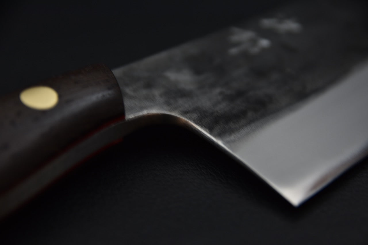 Jiro Tsuchime Yo Gyuto 255mm Tagayasan (#461)
