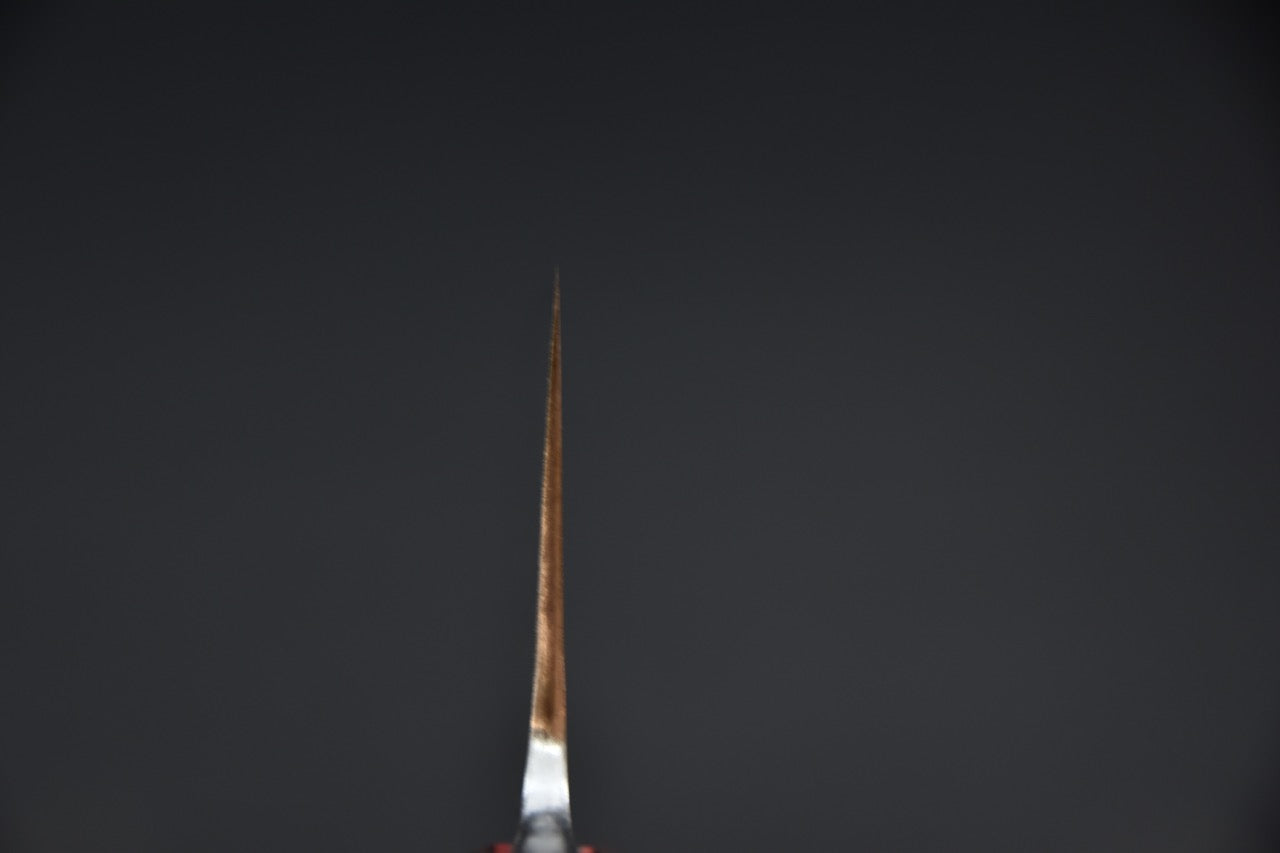 Jiro Tsuchime Yo Gyuto 255mm Tagayasan (#461)