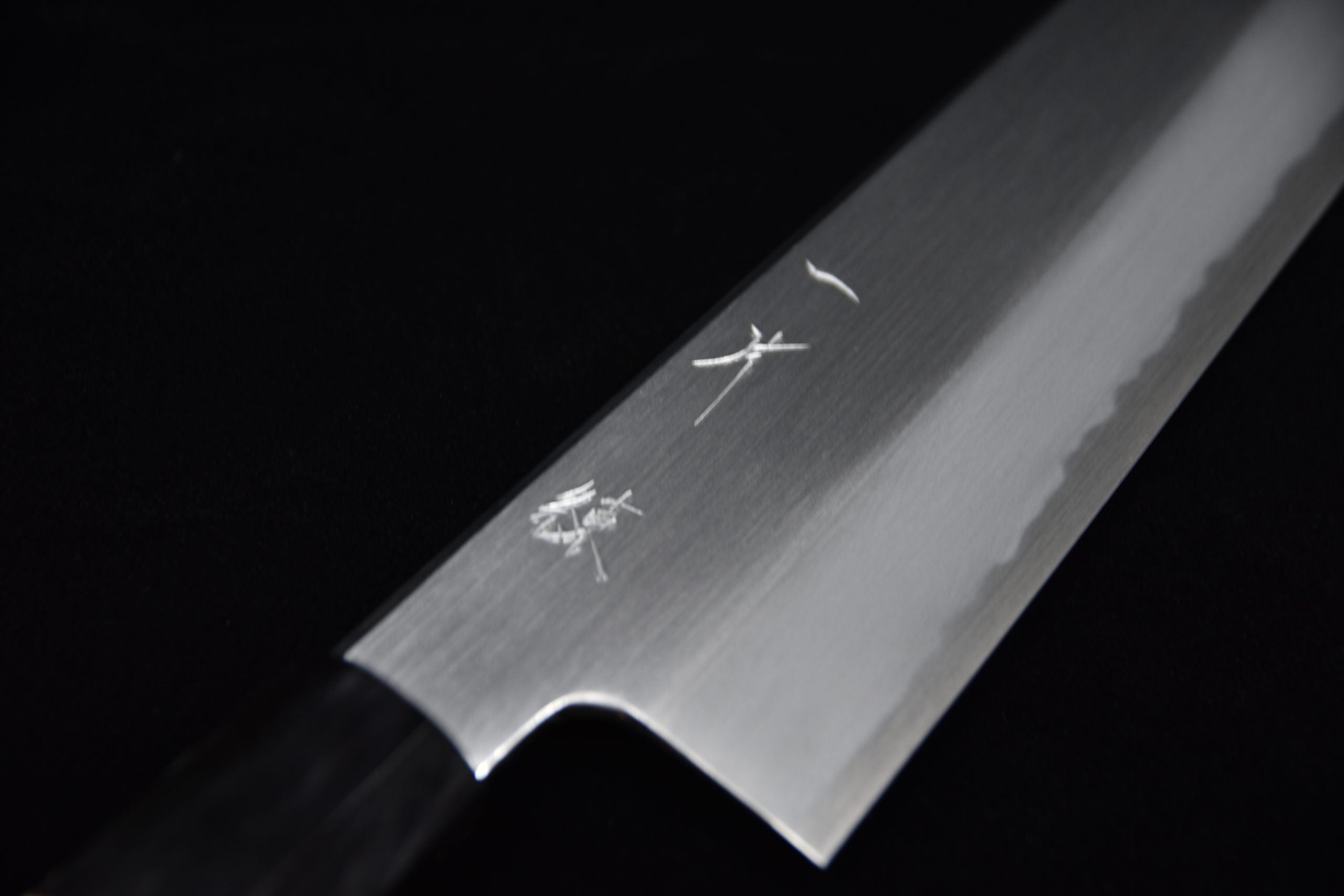 Hitohira Kikuchiyo Ren Shirogami #2 Gyuto 210mm Ho Wood