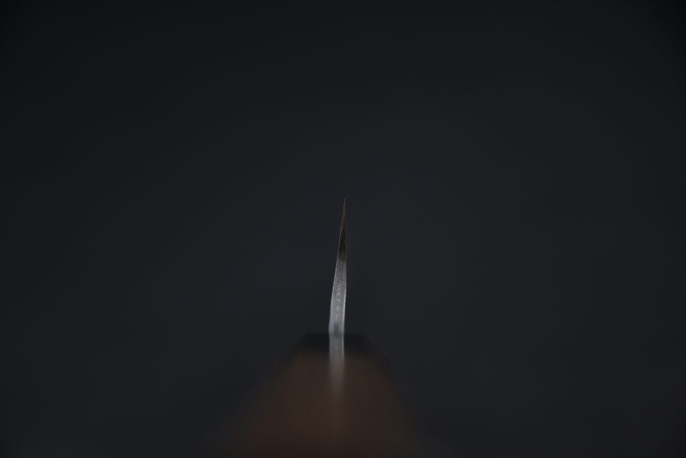 Nigara Hamono Aogami Super Migaki Tsuchime Kiritsuke Sujihiki 255mm Tagayasan