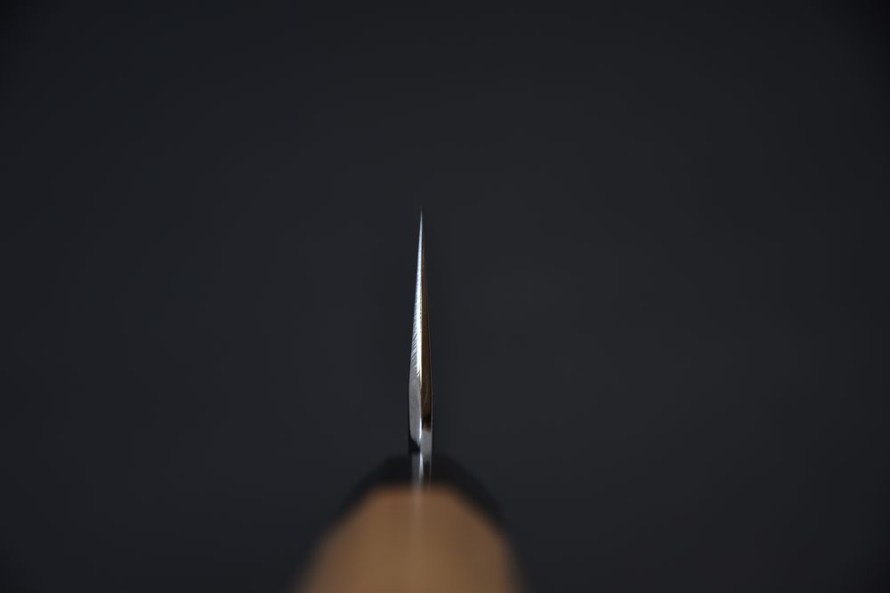 Hitohira Togashi Aogami #2 Kurouchi Gyuto 210mm Cerisier