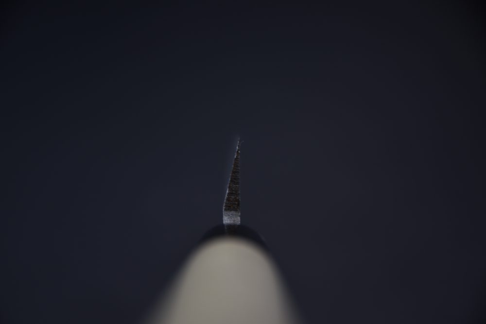 Hitohira Gorobei Aogami #2 Yanagiba 240mm Ho