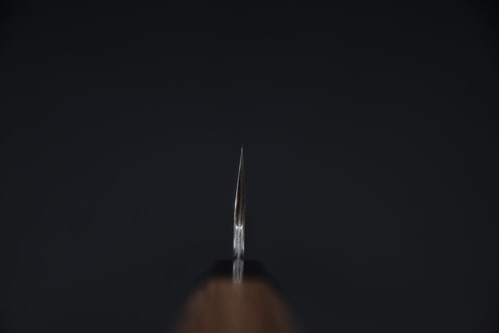 Nigara Hamono Aogami Super Kurouchi Tsuchime Sakimaru 270mm Tagayasan