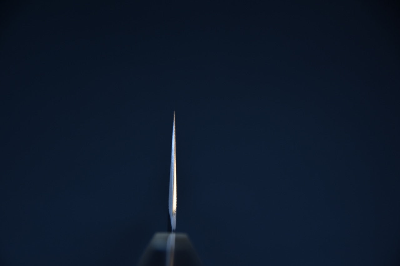 Hitohira Togashi Shirogami #1 Stainless Clad Gyuto 240mm Ziricote