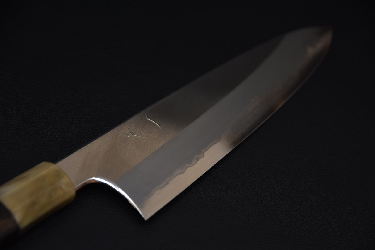 Hitohira Togashi Shirogami #1 Stainless Clad Gyuto 240mm Ziricote