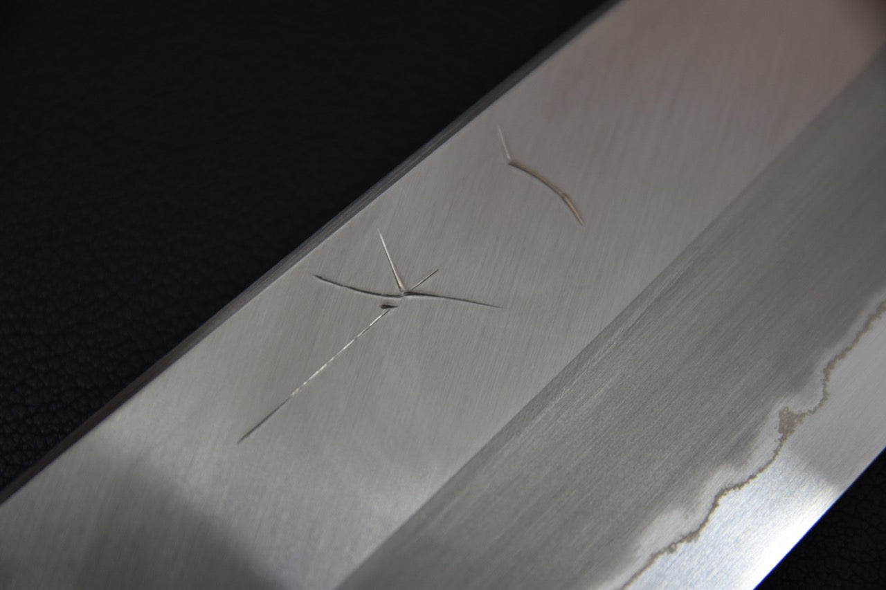 Hitohira Togashi Shirogami #1 Stainless Clad Gyuto 240mm Ziricote