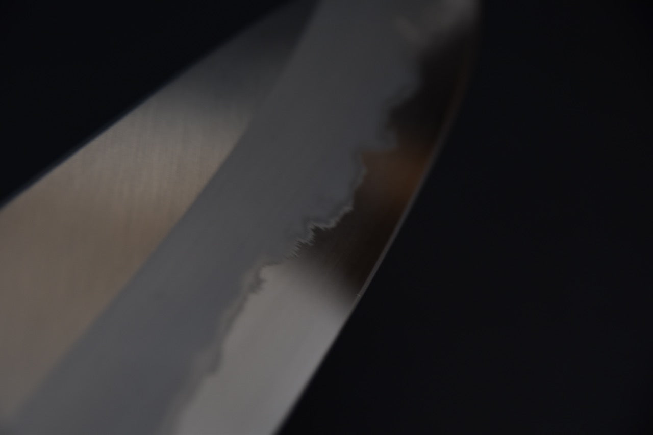 Hitohira Togashi Shirogami #1 Stainless Clad Gyuto 240mm Ziricote