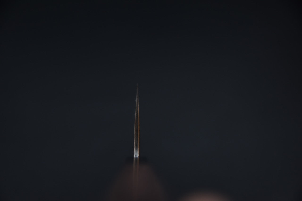 Isamitsu Shirogami #1 Stainless Clad Kurouchi Kiritsuke Gyuto 240mm Tagayasan