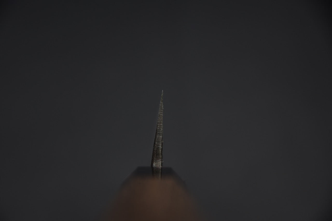 Kumokage Aogami #2 Kurouchi Damascus Honesuki 150mm Tagayasan