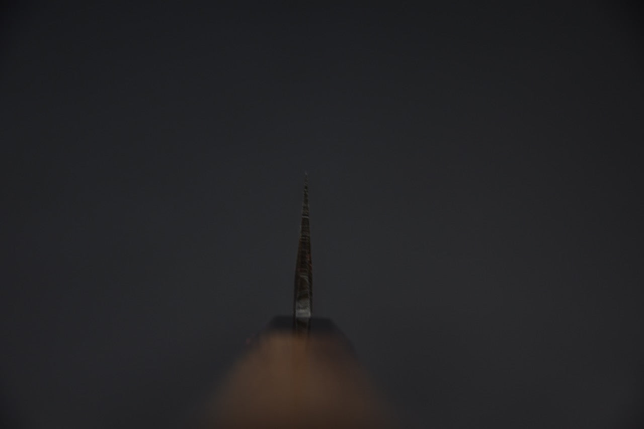 Kumokage Aogami #2 Kurouchi Damascus Kiritsuke Sujihiki 255mm