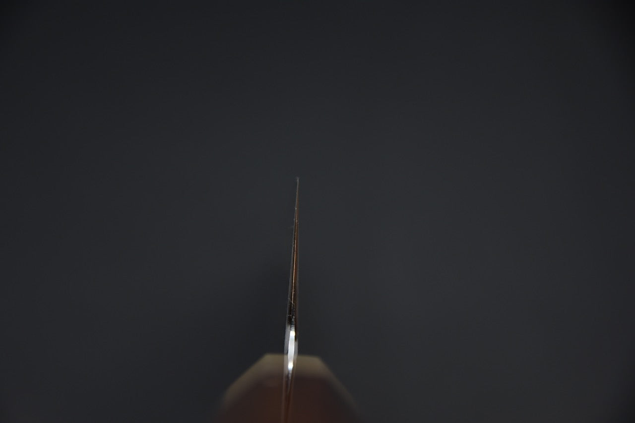 Nakagawa uchi hamono Aogami #2 Damascus Gyuto Kiritsuke 240mm Snake wood