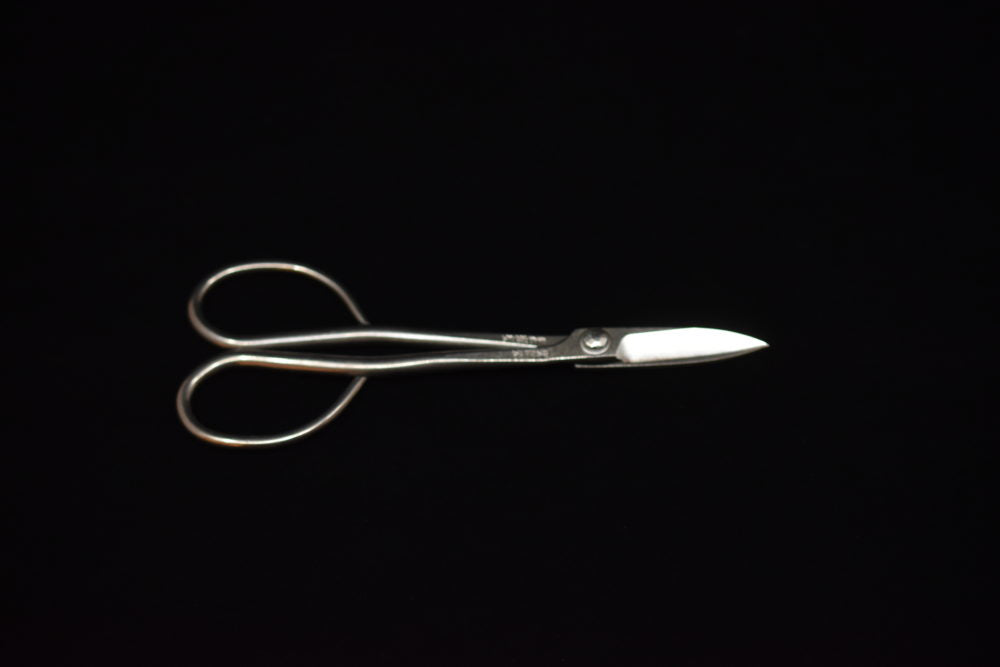 Morihei Kikuyu Stainless Koeda Ciseaux 180mm